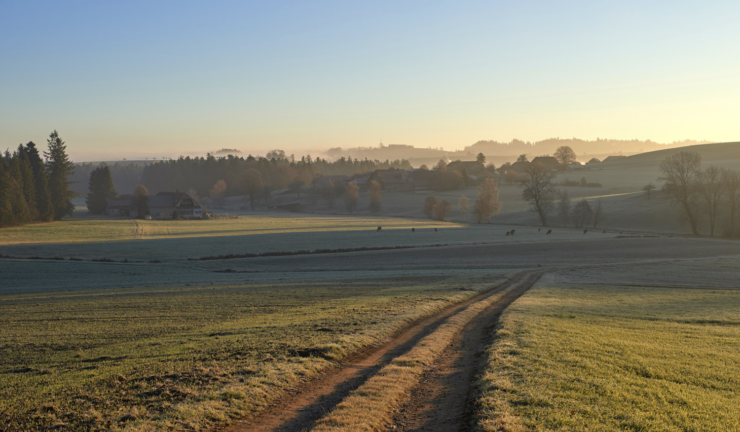 GondiswilHerbstWJ1_n8dfw97hke48.jpg