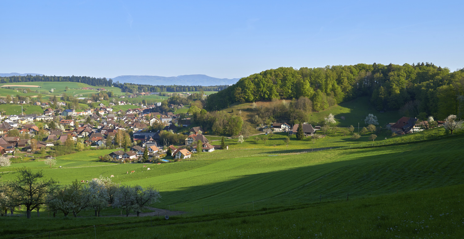 MelchnauFrühlingWJ3.jpg