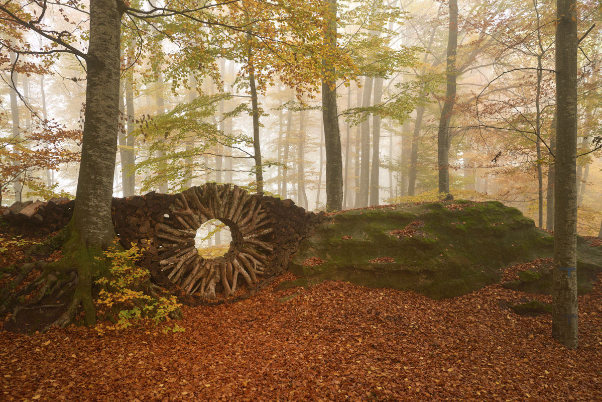 MelchnauHerbstWJ4_1tat3ogn7rf2k.jpg