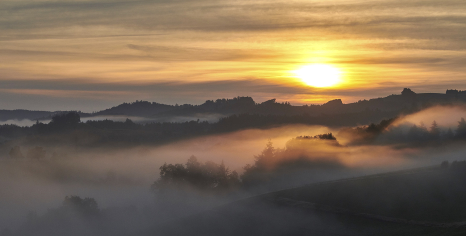 BusswilHerbstWJ 3.jpg