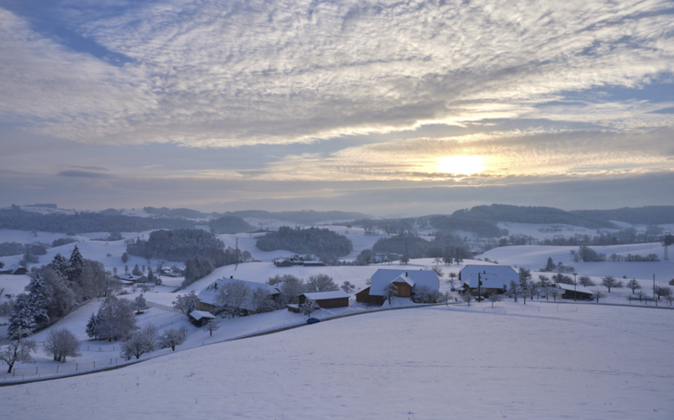 BusswilWinterWJ 2.jpg