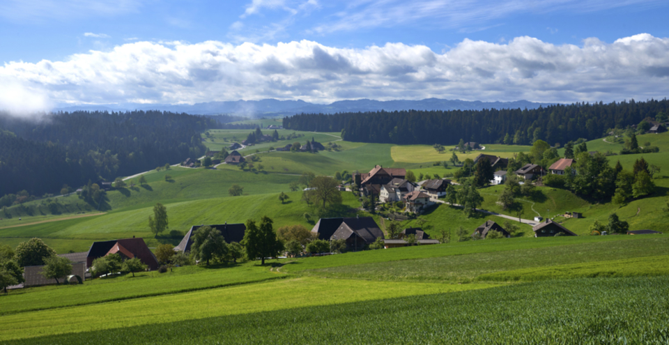 ReisiswilSommerWJ1.jpg