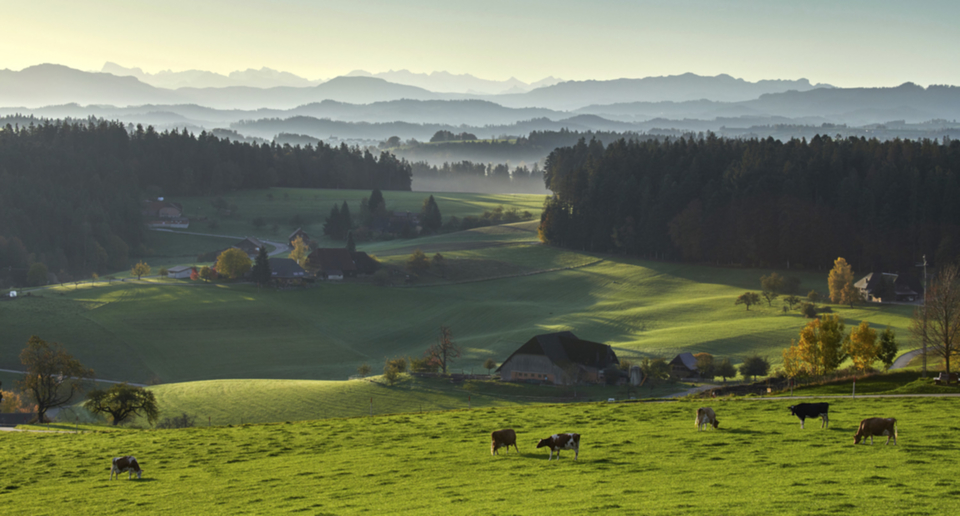 ReisiswilSommerWJ2.jpg